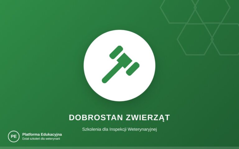 Czyny znęcania się nad zwierzętami i przestępstwa zabicia zwierzęcia — schematy działań IW