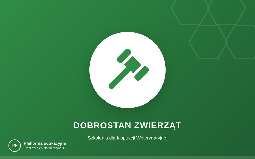 Czyny znęcania się nad zwierzętami i przestępstwa zabicia zwierzęcia — schematy działań IW